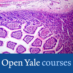 Biomedical Engineering - Video